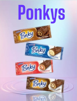 PONKYS