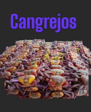 CANGREJOS VIVOS