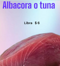 ALBACORA O TUNA