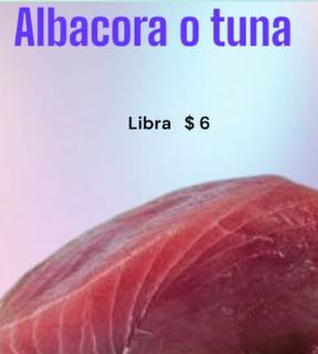 ALBACORA O TUNA