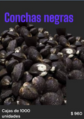 CONCHAS NEGRAS
