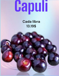 CAPULI