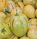 PEPINO DULCE