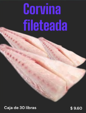 CORVINA FILETEADA