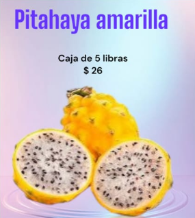 PITAHAYA AMARILLA