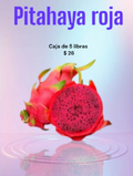 PITAHAYA ROJA