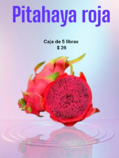 PITAHAYA ROJA
