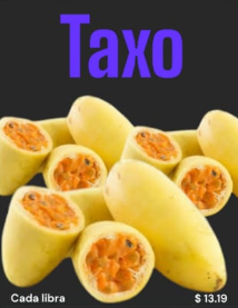 TAXO
